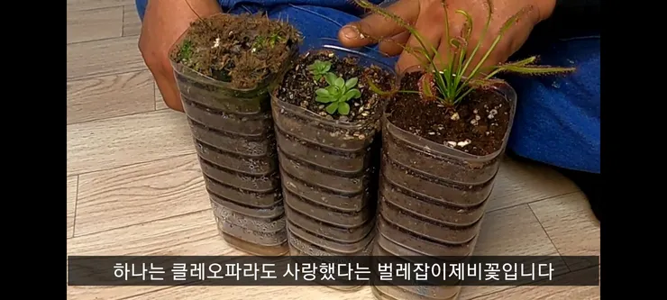 Screenshot_20210410-230255_Video Player.jpg