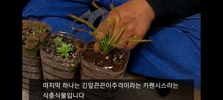 Screenshot_20210410-230300_Video Player.jpg