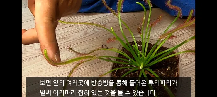 Screenshot_20210410-230339_Video Player.jpg