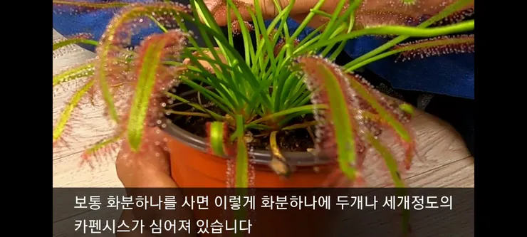 Screenshot_20210410-230405_Video Player.jpg
