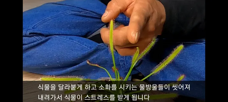 Screenshot_20210410-230447_Video Player.jpg