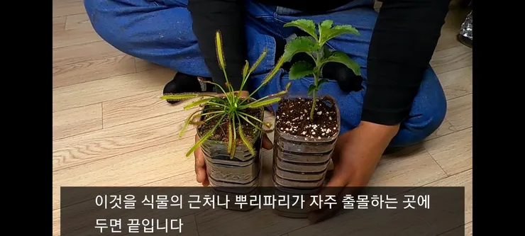Screenshot_20210410-230513_Video Player.jpg
