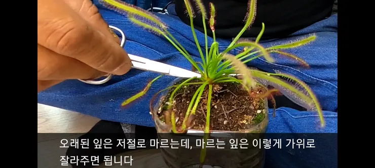 Screenshot_20210410-230537_Video Player.jpg