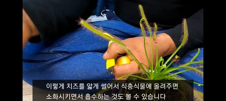 Screenshot_20210410-230639_Video Player.jpg