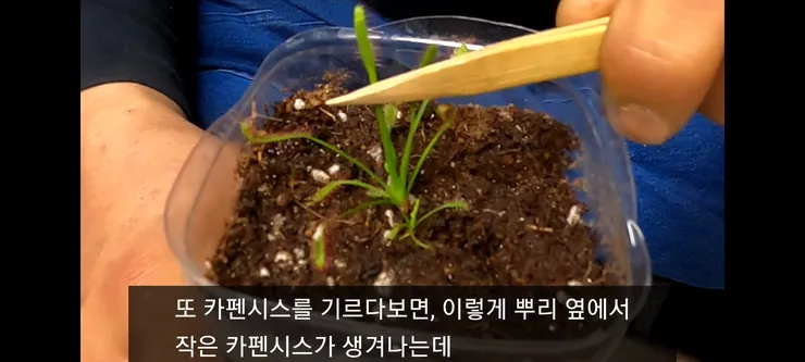 Screenshot_20210410-230650_Video Player.jpg