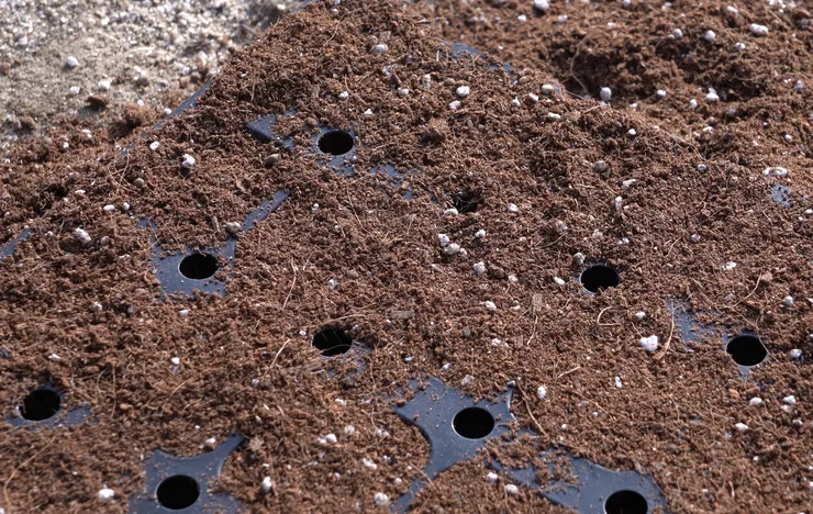 C0087.MP4.02_34_04_26.Still001 (2).png