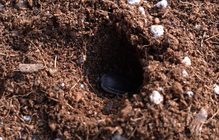 C0088.MP4.02_35_29_19.Still001 (2).png
