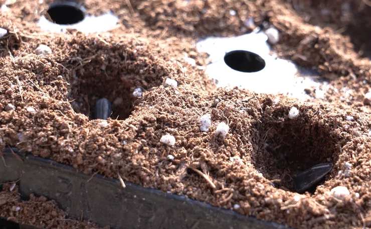 C0090.MP4.02_37_00_16.Still001 (2).png