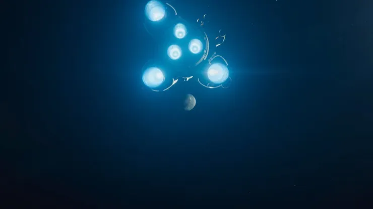 screencapture-netflix-watch-81246517-2021-12-26-09_20_22.jpg
