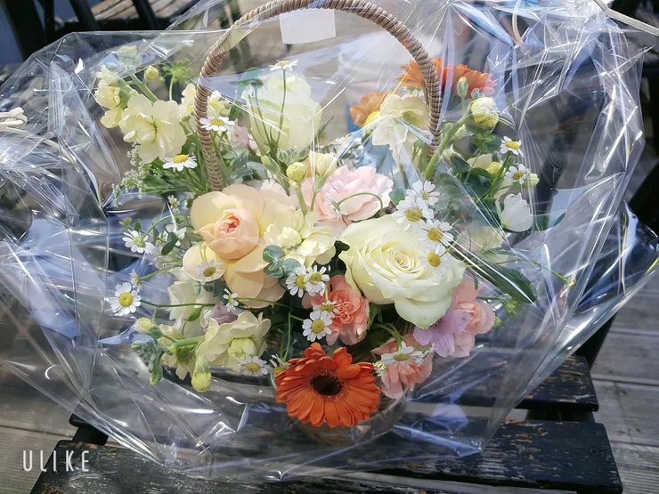 beauty_20220107171219.jpg