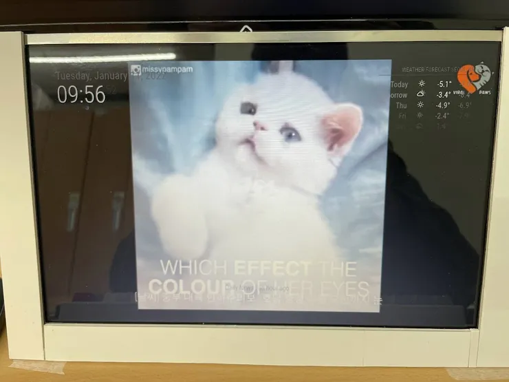 ??? 4.png