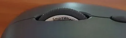 ew.png