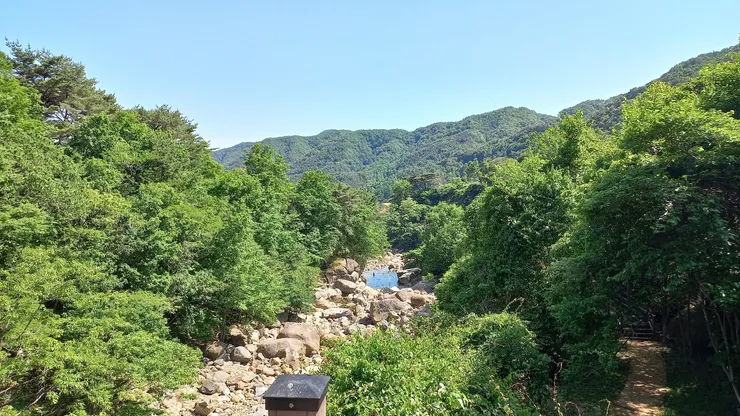 KakaoTalk_20220531_151156154_01.jpg