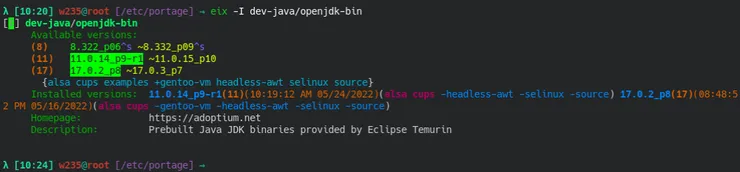 emerge_multiple_versions.png