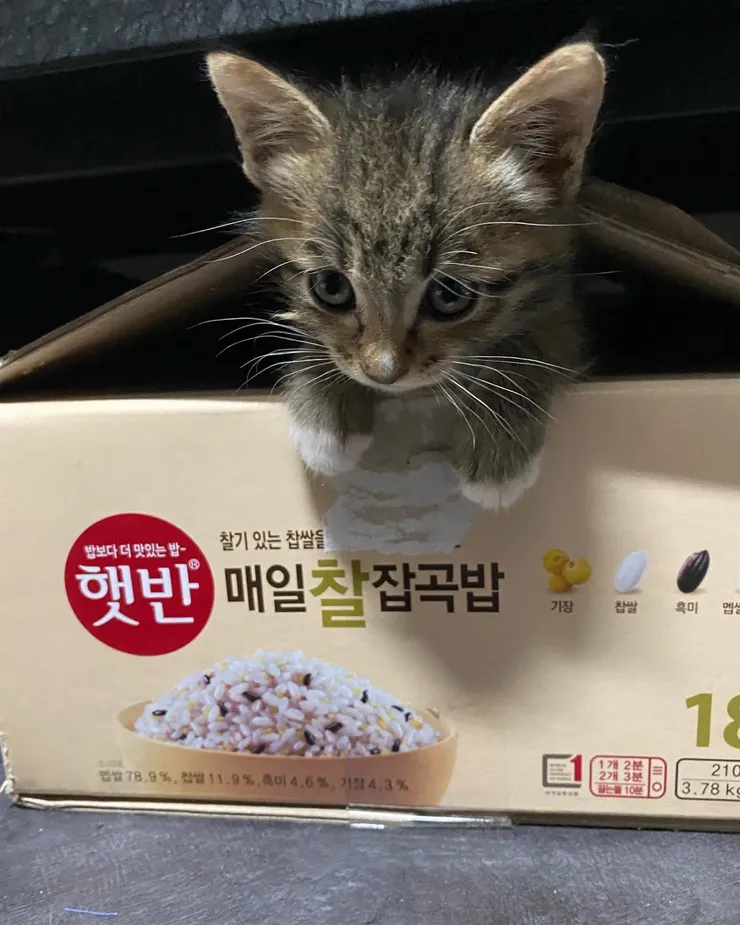 KakaoTalk_20220727_173123418_01.jpg