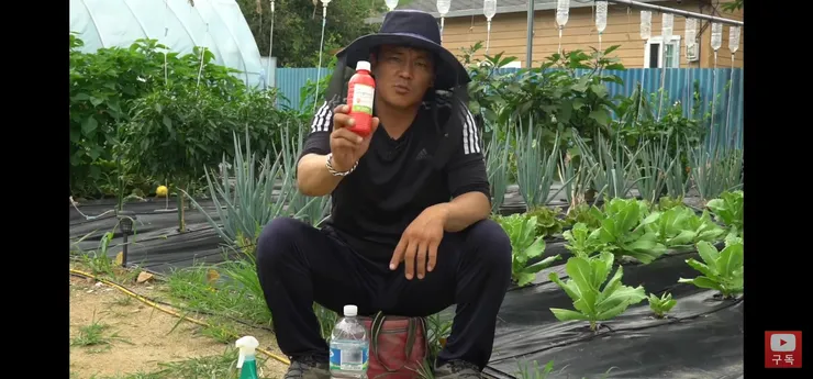 Screenshot_20220731-150331_YouTube.jpg