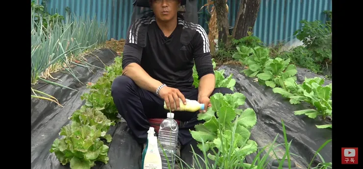 Screenshot_20220731-150526_YouTube.jpg