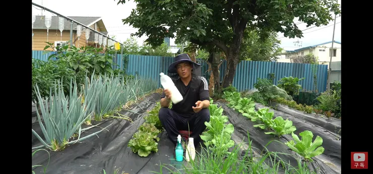 Screenshot_20220731-150615_YouTube.jpg