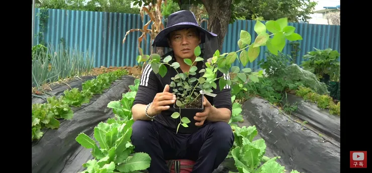 Screenshot_20220731-151025_YouTube.jpg