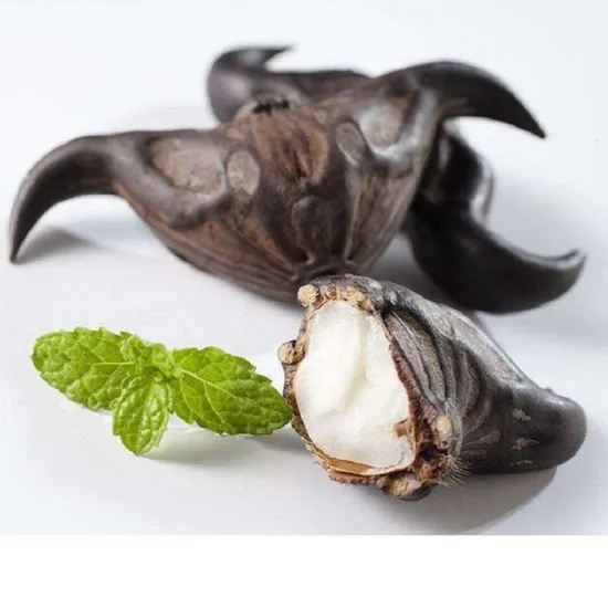 Water-Chestnut-Extract-Water-Caltrop-Extract-Singharanut-Powder.jpg