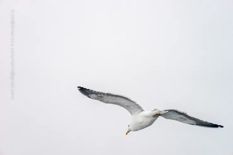 20220920-_A7_6535-6000 x 4000@Scott.jpg