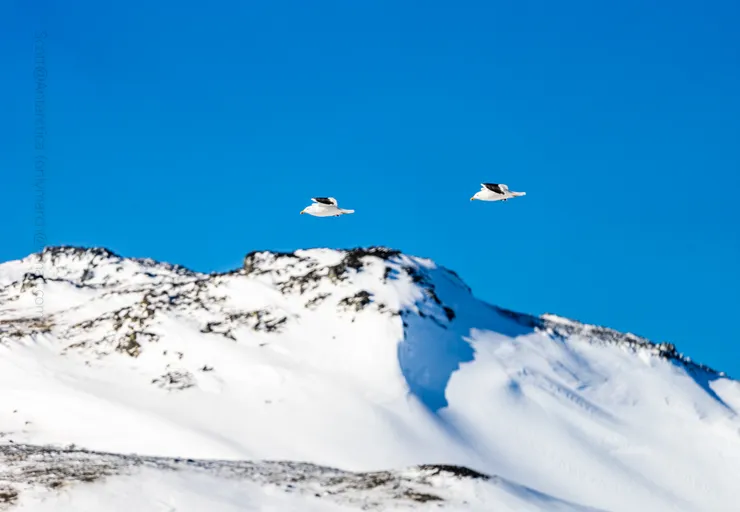 20220921-_A7_7039-Pano-6782 x 4696@Scott.jpg