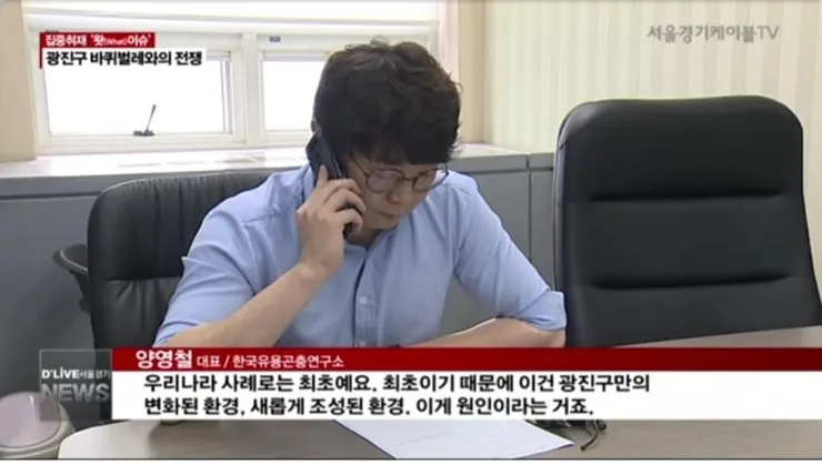 서울 광진구 바퀴벌레 폭증사태.jpg 이미지 1