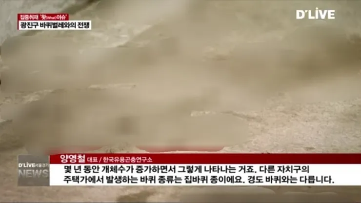 서울 광진구 바퀴벌레 폭증사태.jpg 이미지 5
