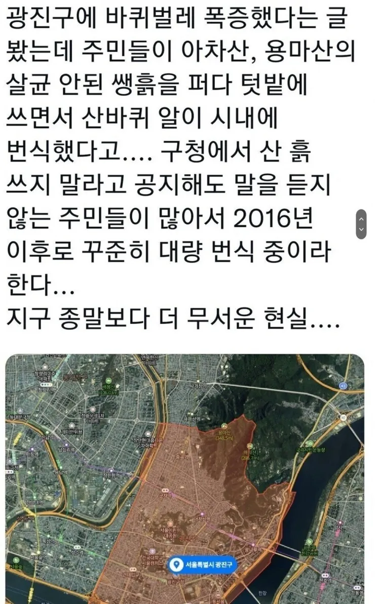 서울 광진구 바퀴벌레 폭증사태.jpg 이미지 6