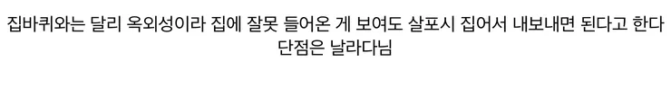 서울 광진구 바퀴벌레 폭증사태.jpg 이미지 7