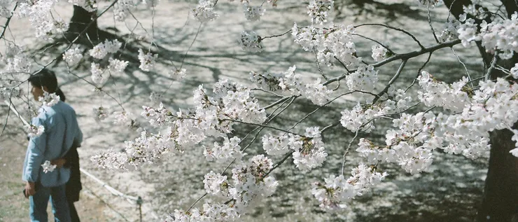 50630008_cr.jpg