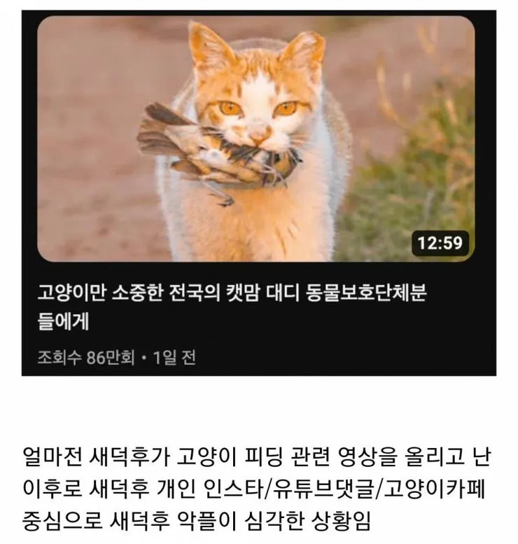 새덕후 영상에 몰려온 그분들 이미지 1