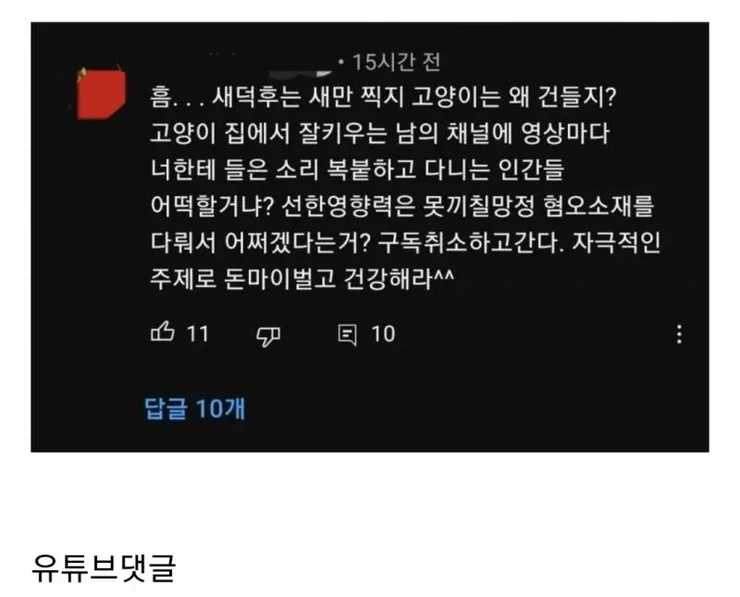 새덕후 영상에 몰려온 그분들 이미지 3