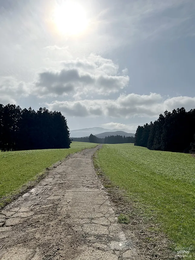 05.jpg