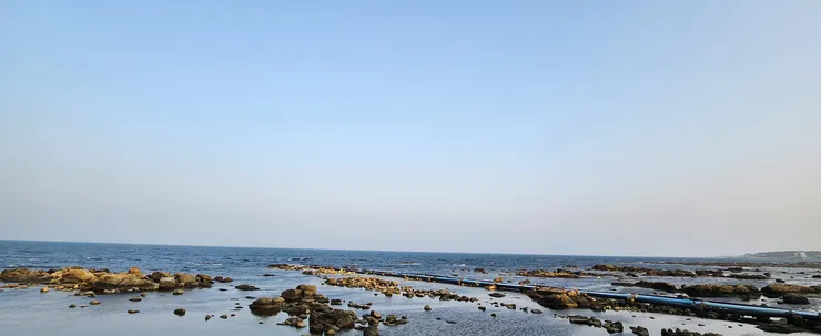 20230310_172548.jpg