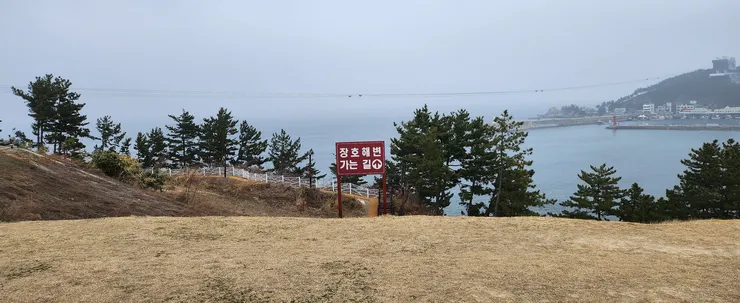20230311_152508.jpg