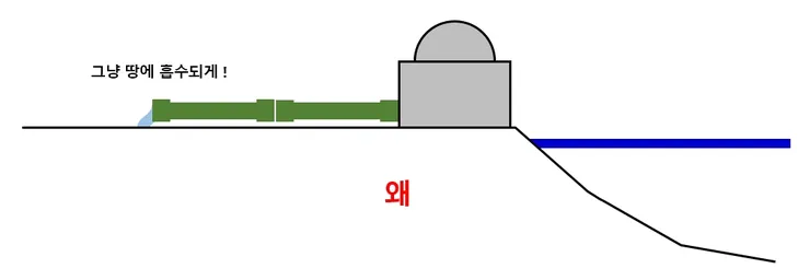 313121.jpg