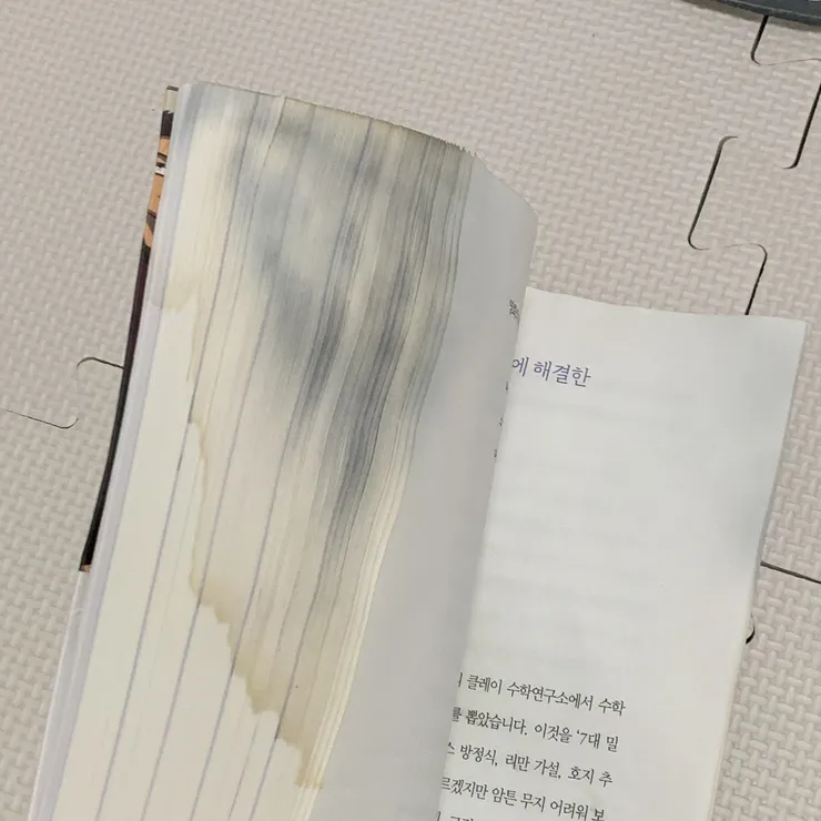 비온 날의 새책 근황.jpg 이미지 3