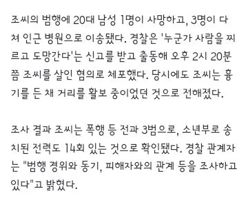 신림역 칼부림 사건 가해자는 전과3범 이미지 2