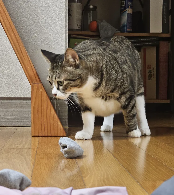 20230906_201205.jpg