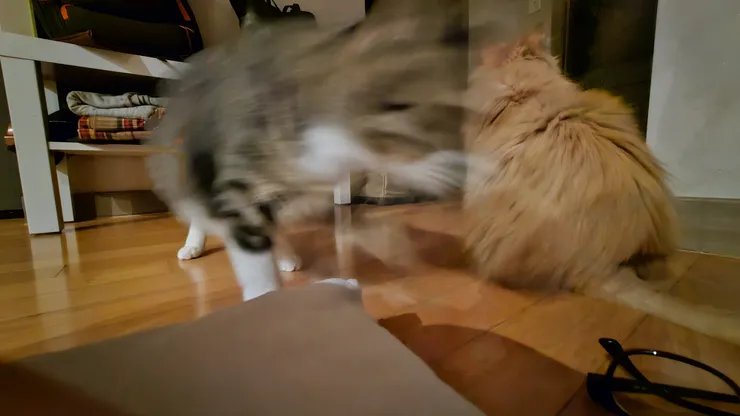 20230907_234840.jpg