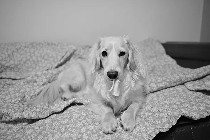 DSC_0058.jpg