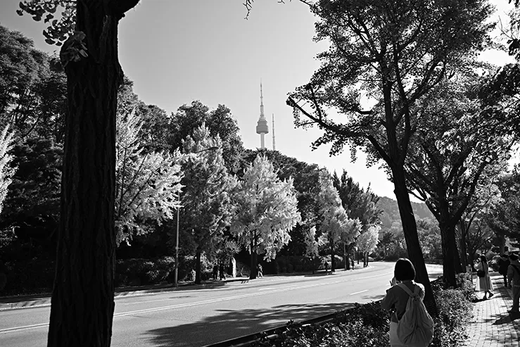 DSC_0094.jpg