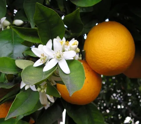 image002.jpg