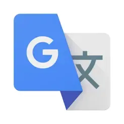 Google Translate.jpg