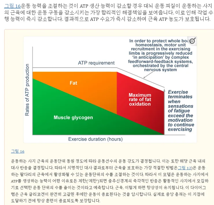 스크린샷 2023-12-29 162733.png