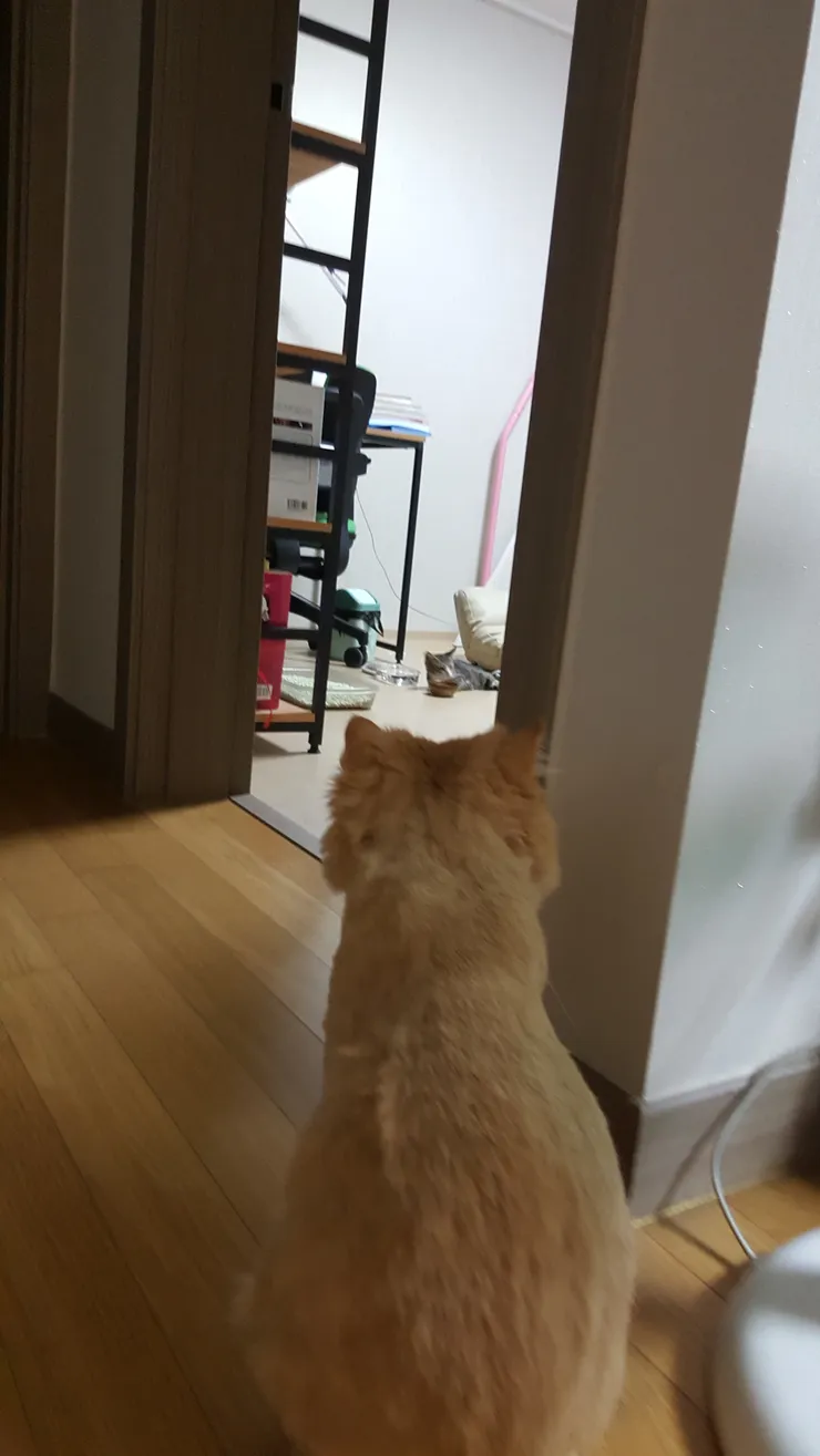 20181008_000407.jpg