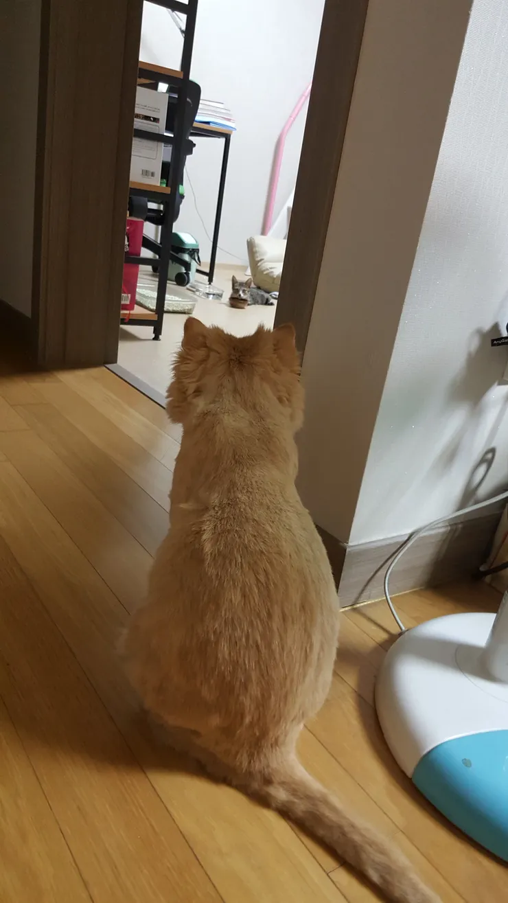 20181008_000415.jpg