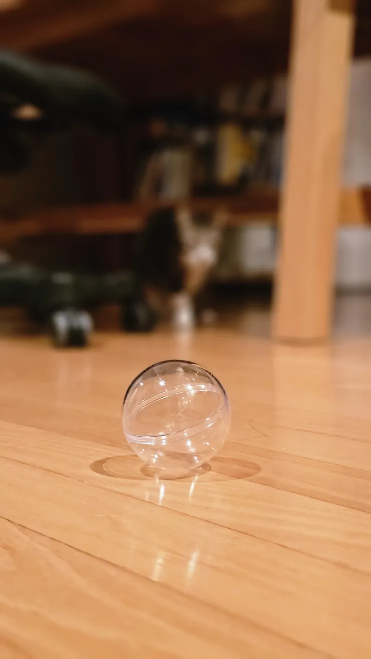 20240320_213713.jpg