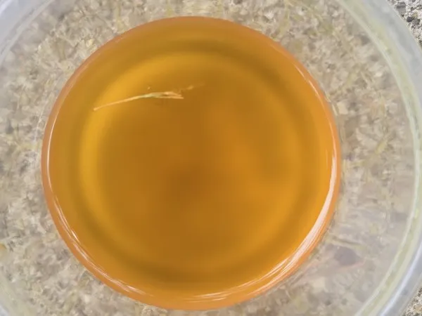 20240608_140115.jpg